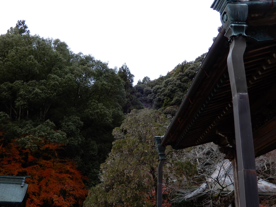 dscn0195.jpg